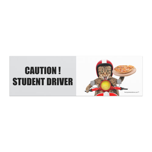 "Pizza Cat" funny student driver car magnet with cat on moped delivering pizza on pizza stone product mockup