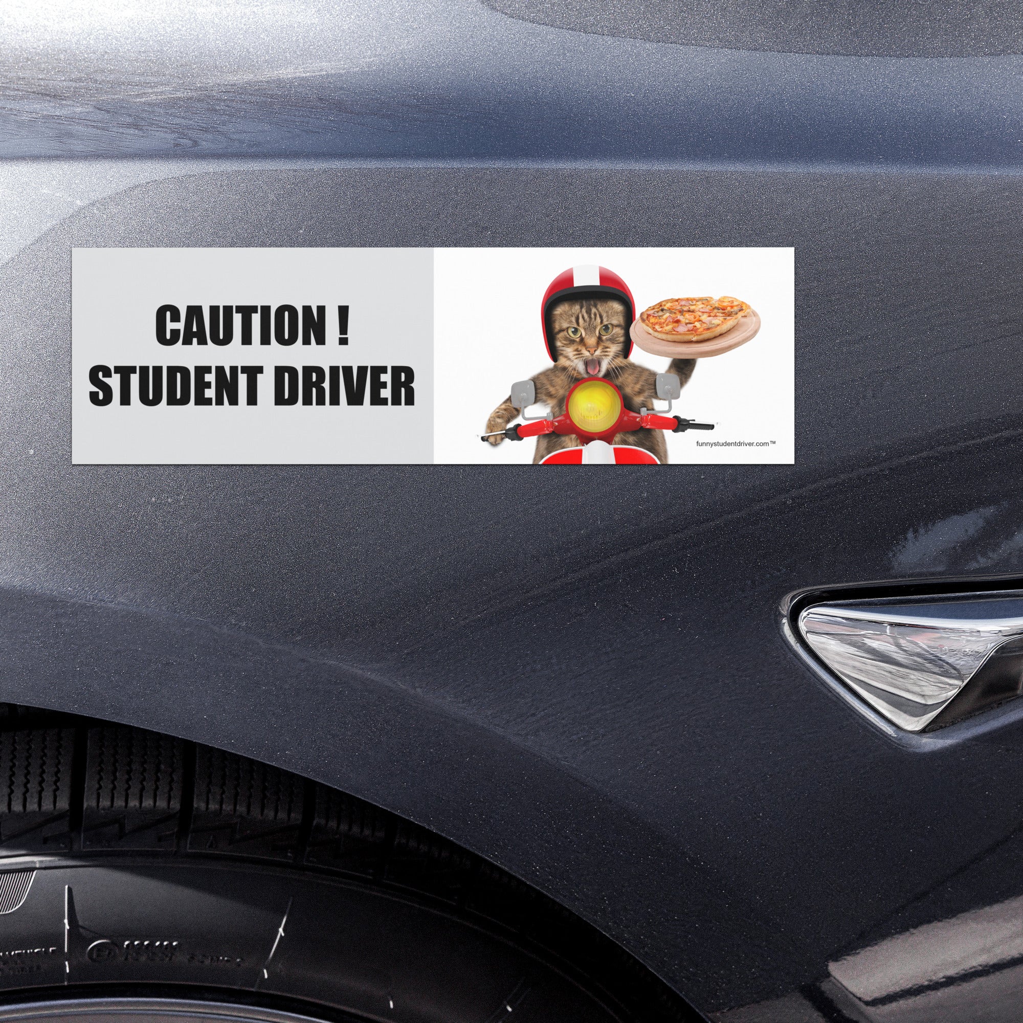 "Pizza Cat" funny student driver car magnet displayed on side-front of vehicle