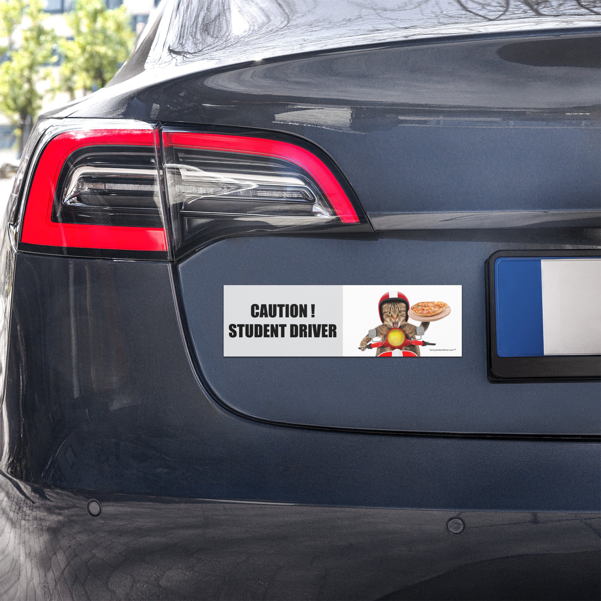 "Pizza Cat" funny student driver car magnet displayed on rear of vehicle