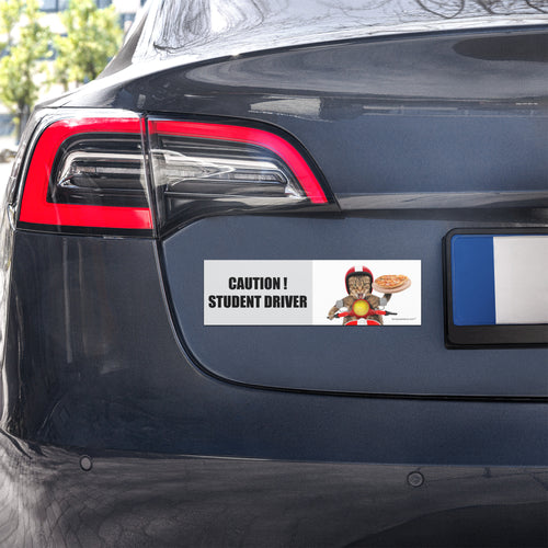 "Pizza Cat" funny student driver car magnet displayed on rear of vehicle